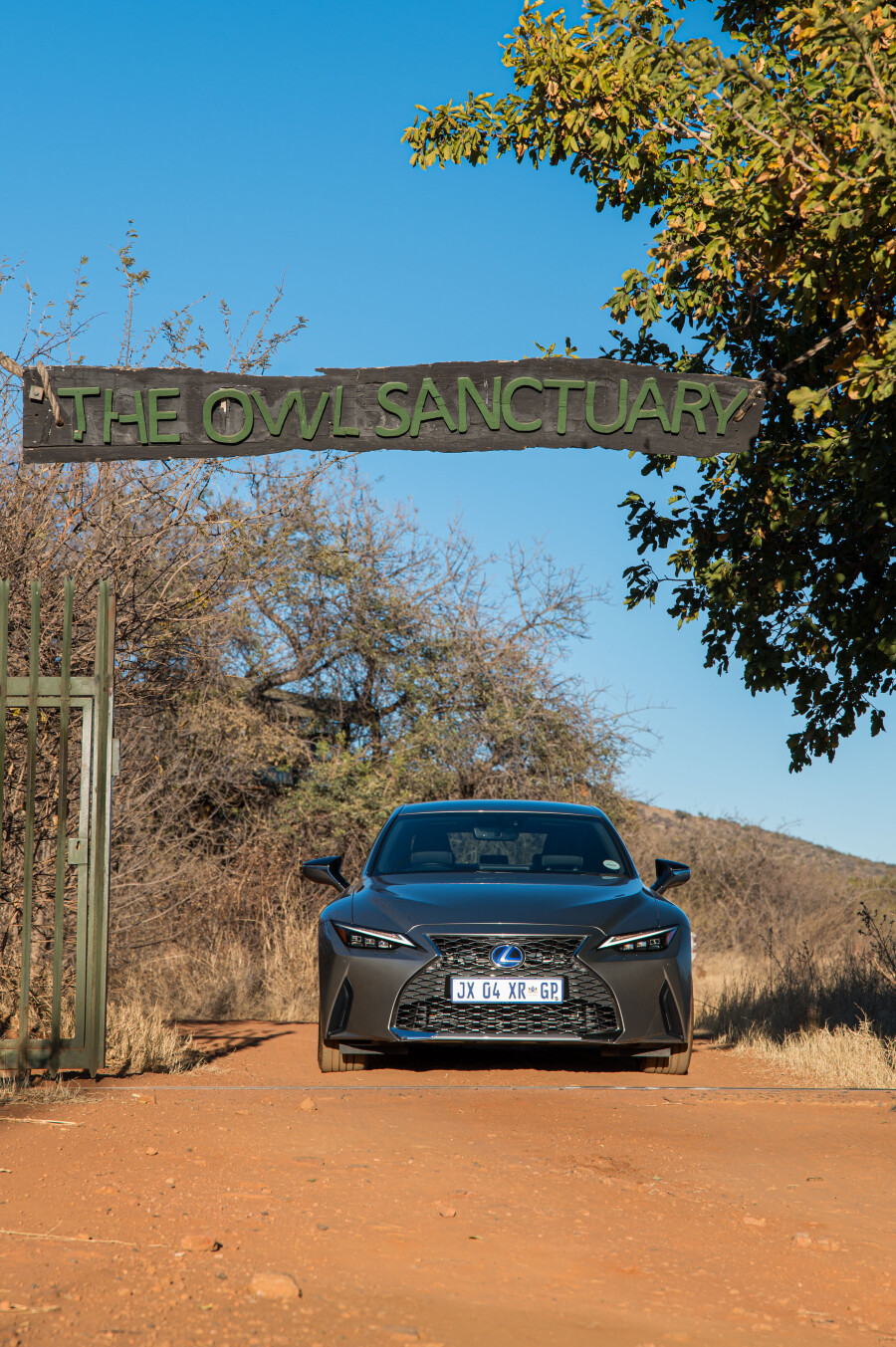 Lexus planting thousands of Spekboom on its road towards carbon neutrality