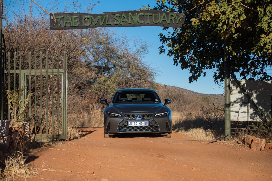 Lexus planting thousands of Spekboom on its road towards carbon neutrality