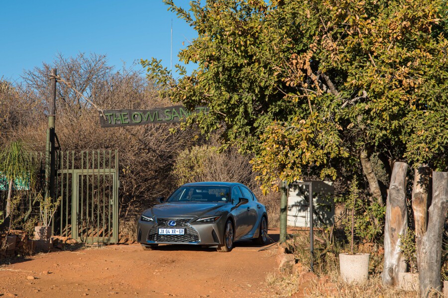 Lexus planting thousands of Spekboom on its road towards carbon neutrality