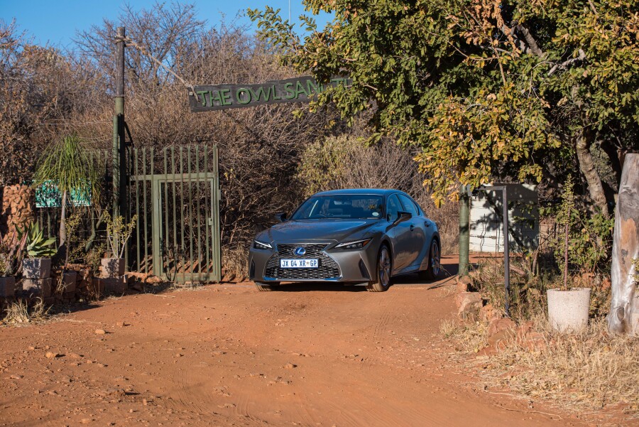 Lexus planting thousands of Spekboom on its road towards carbon neutrality