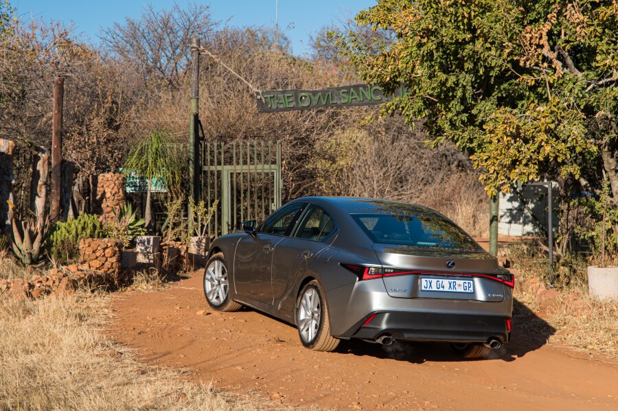 Lexus planting thousands of Spekboom on its road towards carbon neutrality