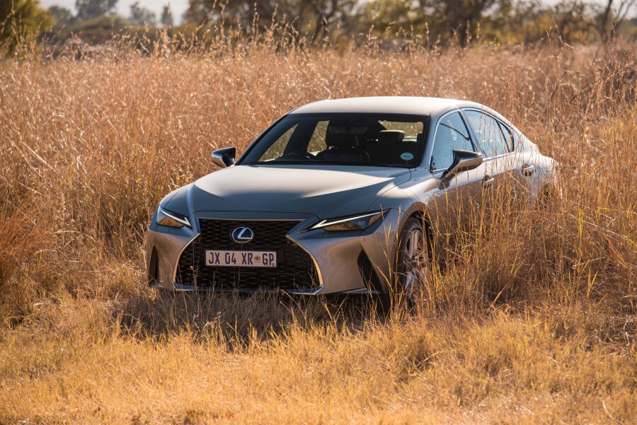 Lexus planting thousands of Spekboom on its road towards carbon neutrality