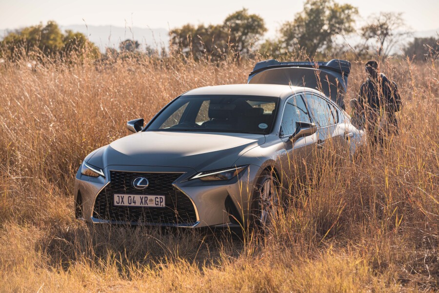 Lexus planting thousands of Spekboom on its road towards carbon neutrality