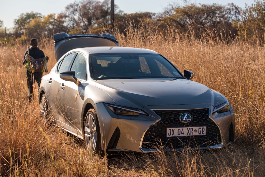 Lexus planting thousands of Spekboom on its road towards carbon neutrality