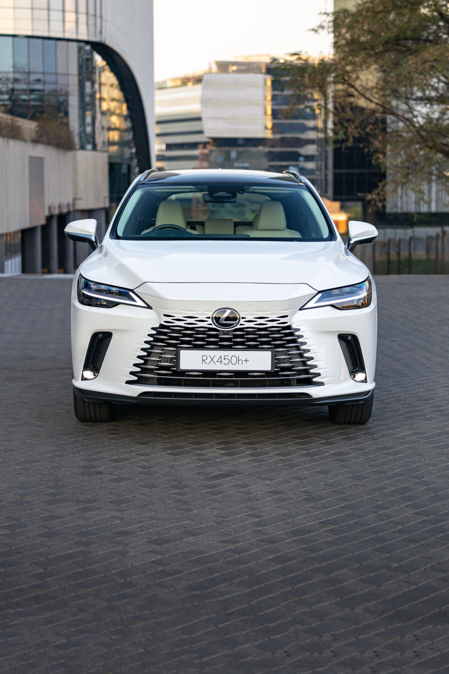 Lexus RX 2023