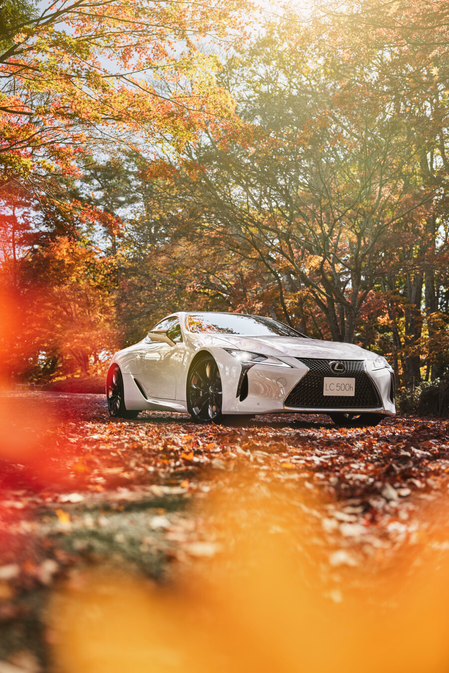 LEXUS INTRODUCES THE LC 500 HYBRID COUPE: A PERFECT BLEND OF POWER AND EFFICIENCY