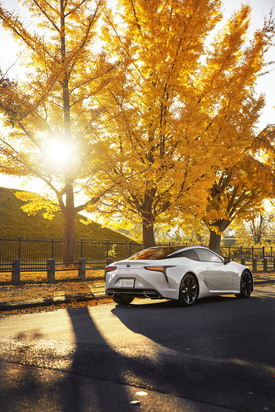 LEXUS INTRODUCES THE LC 500 HYBRID COUPE: A PERFECT BLEND OF POWER AND EFFICIENCY