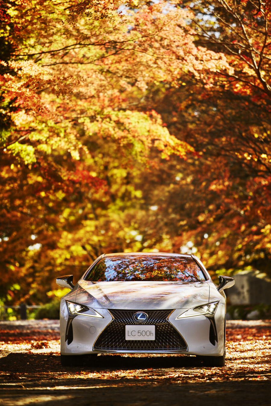 LEXUS INTRODUCES THE LC 500 HYBRID COUPE: A PERFECT BLEND OF POWER AND EFFICIENCY