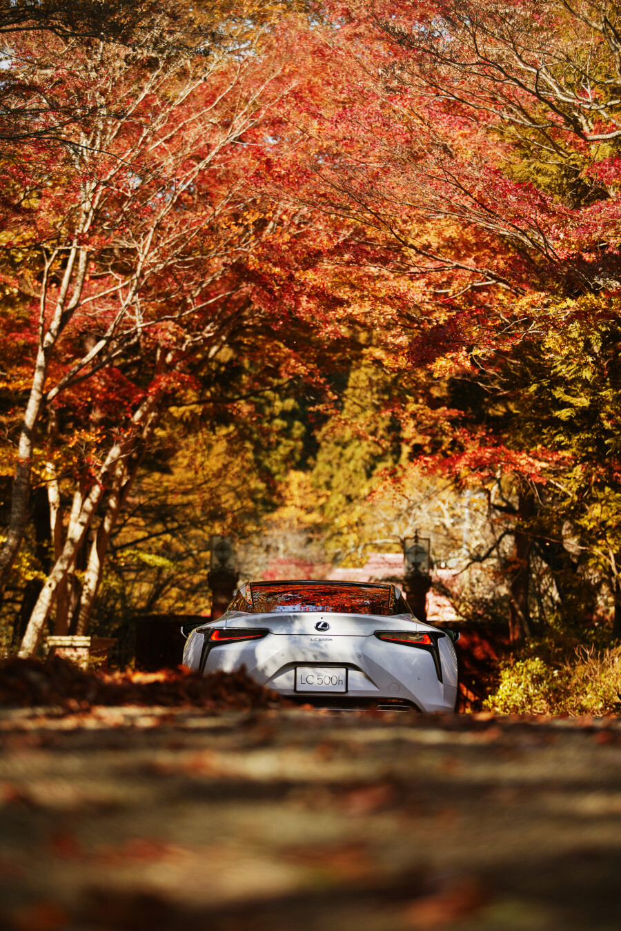 LEXUS INTRODUCES THE LC 500 HYBRID COUPE: A PERFECT BLEND OF POWER AND EFFICIENCY
