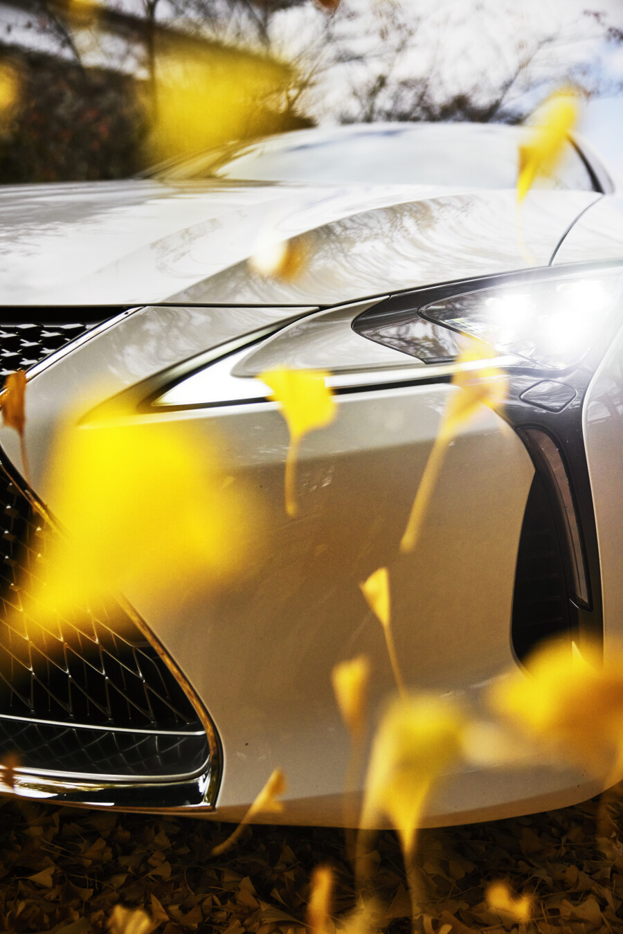 LEXUS INTRODUCES THE LC 500 HYBRID COUPE: A PERFECT BLEND OF POWER AND EFFICIENCY