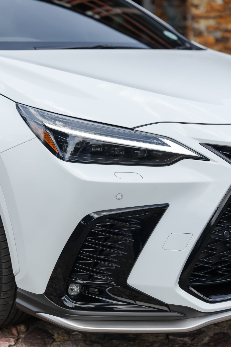 LEXUS SOUTH AFRICA WELCOMES MAPS MAPONYANE AS NEW AMBASSDOR