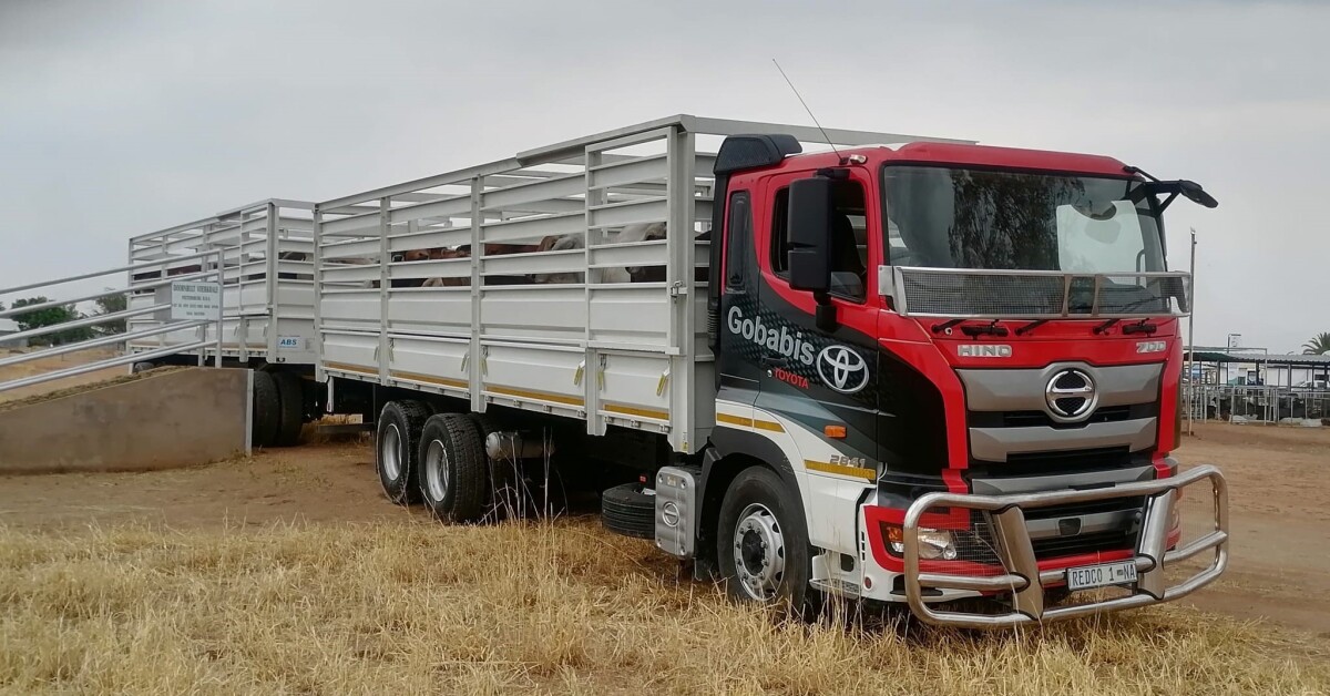 UPDATED: HINO 700 RIG EXCELS AS A CATTLE TRANSPORTER IN NAMIBIA